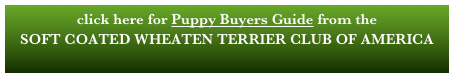 click here for Puppy Buyers Guide from the 
SOFT COATED WHEATEN TERRIER CLUB OF AMERICA