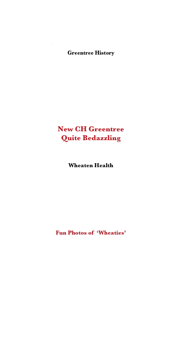 


About and Contact Us
Greentree History
Our Champions, 
Top Dogs and Pedigrees
Our Foundation Dogs 
Dog Show News and Photos
New CH Greentree
Quite Bedazzling

Right Breed For You?
Wheaten Health 
How To Find a Good Puppy
Our Puppies 
Helpful Links
   Our Wheaten Families 
Fun Photos of  ‘Wheaties’

